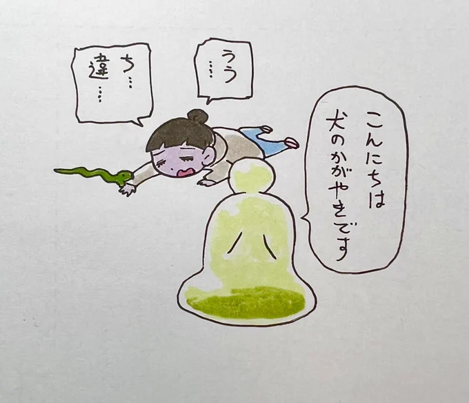 出先で偶然、犬のかがやきさんに出会った。 いや本当に。