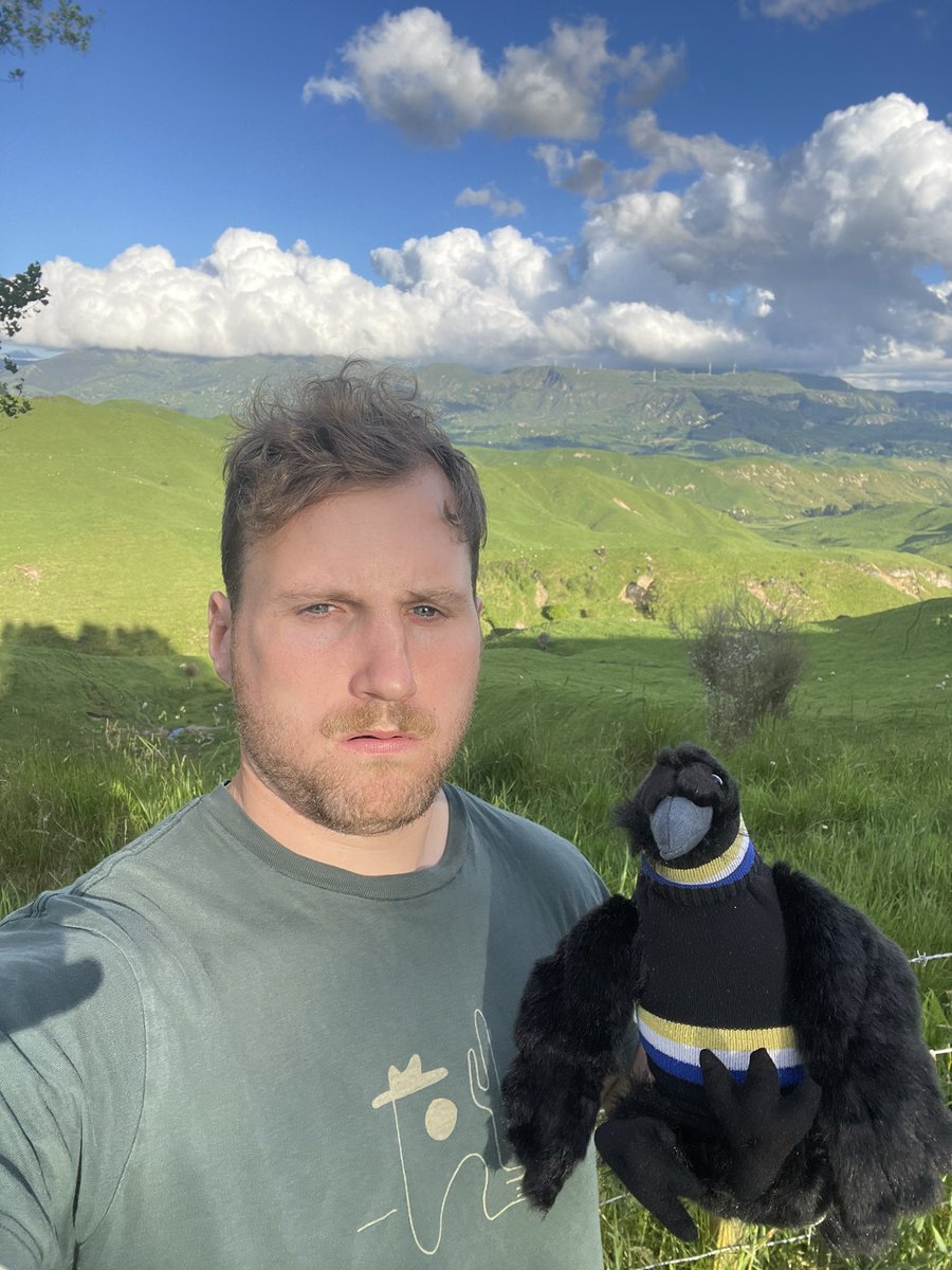 Ciaran Askew tweet media