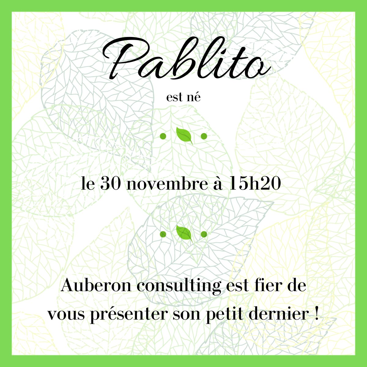AuberonConsult's tweet photo. À l'occasion de la Journée mondiale du #climat, toute l'équipe d'Auberon consulting est fière de vous annoncer la naissance de @Pablito_auberon, un très bel arbre caoba 🌱

Il facilite notamment le repeuplement de plusieurs espèces animales.

#Bienvenue à toi ! https://t.co/gt6nBVwvoP