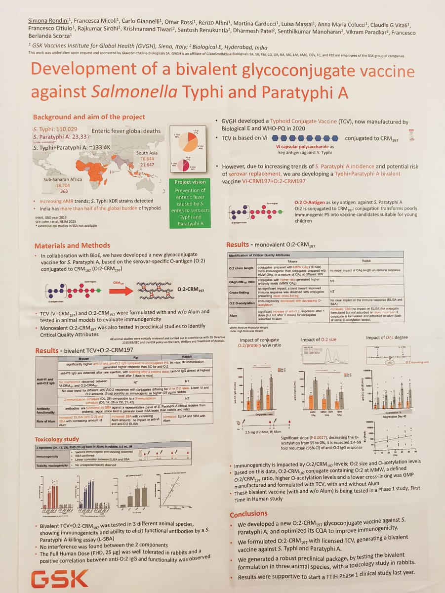 Day 2 of #Typhoid2023! Impressive poster presentation by GSK on Bivalent TCV. Working together we can end this!.  #TakeOnTyphoid
Development of a bivalent glycoconjugate vaccine against Salmonella Typhi and Paratyphi A
@sabinvaccine @PreventTyphoid