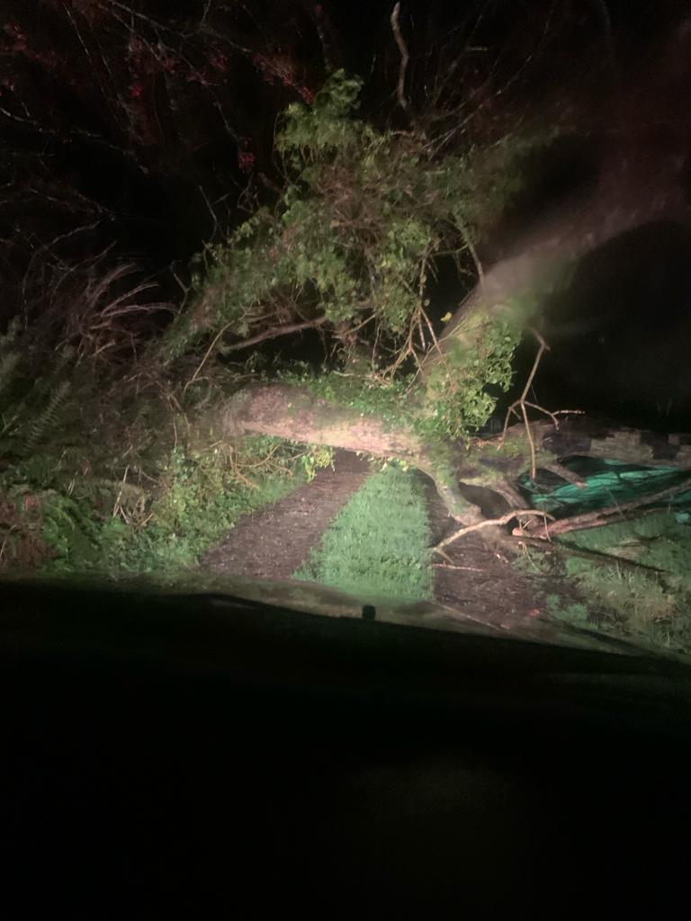 Week 83 today of my housing crisis protest outside the Dáil at 1pm. I'll also be supporting <a href="/AccessForAll7/">Access For All Ireland</a> important protest #ScrapTheGreenPaper starting <a href="/12pm/">nour zohbi</a>. Big thanks  <a href="/KeatingVickie/">Victoria Keating</a> for lending me her car to get to Cork! This tree was down on my lane and I couldn't get out!