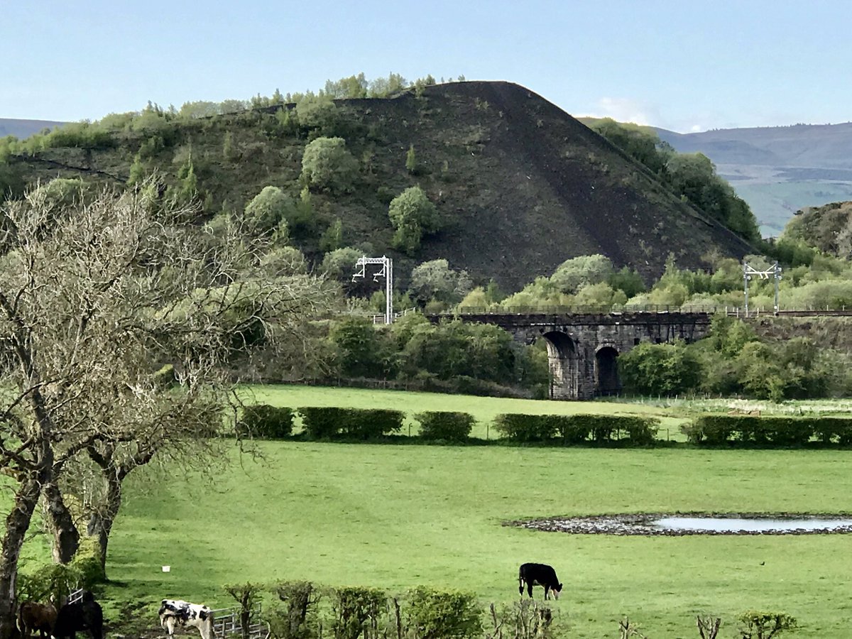coal_legacies's tweet photo. 7/25 One of Scotland’s oldest and well known #bings for day seven dating from the 1870s and visible from the railway into Glasgow. The Wester Gartshore Colliery #Waterside #Kirkintilloch closed in 1950
#coal #miningheritage #waste #AdventCalendar2023 #explore https://t.co/Aav4nEv51m