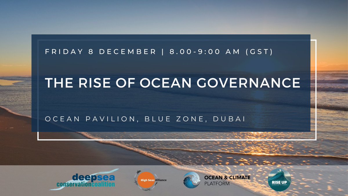 🚨Don't miss DSCC's Director @siankowen on a discussion about the importance of #OceanGovernance when it comes to protecting the #DeepSea.
Live stream 👉 youtube.com/@OceanPavilion #COP28UAE

@HighSeasAllianc @Bec_Hubbard @ocean_climate @LPicourt @WWF @ThomsonFiji @RiseUp4theOcean