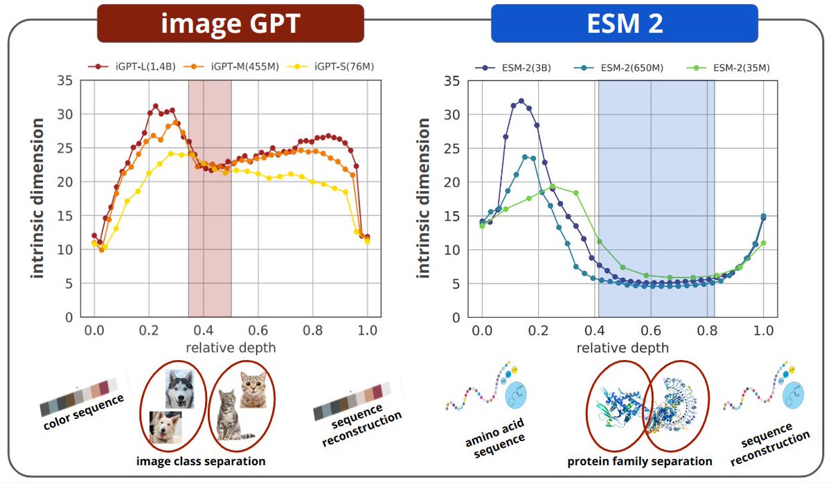 Can changes in the geometry of hidden representations of transformers help identify the layers that encode semantic-rich features of data?
Join our poster presentation <a href="/NeurIPS2023/">乳rIPS</a>. 
Session 4, Poster #506.

#deeplearning #AreaSciencePark

arxiv.org/abs/2302.00294