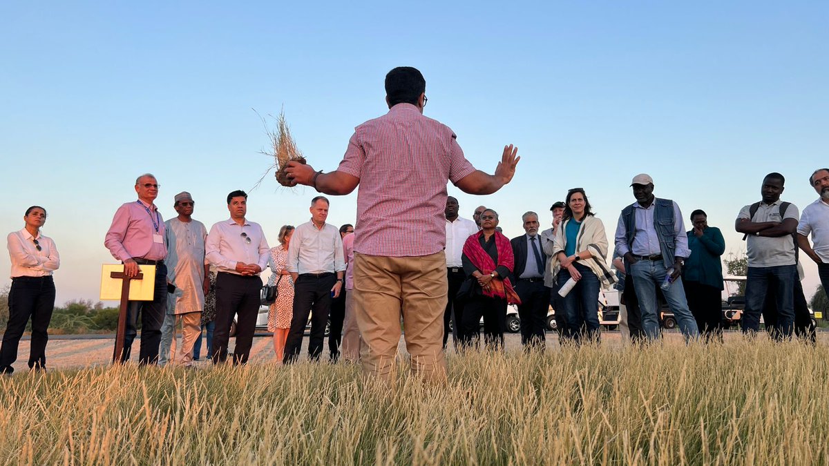 ICARDA's tweet photo. We had a blast at @ICBAAgriculture exploring @CGIAR’s combined expertise in the Integrated Desert Farming Innovation Program.

IDFIP enables @CGIAR in the #CWANA region to revolutionize deserts, turning them into incredibly productive and diverse food systems that uplift the livelihoods of small farmers. 🌍💪
@GCCSG @MoCCaEUAE

➡️https://t.co/DD7r1VXqeS