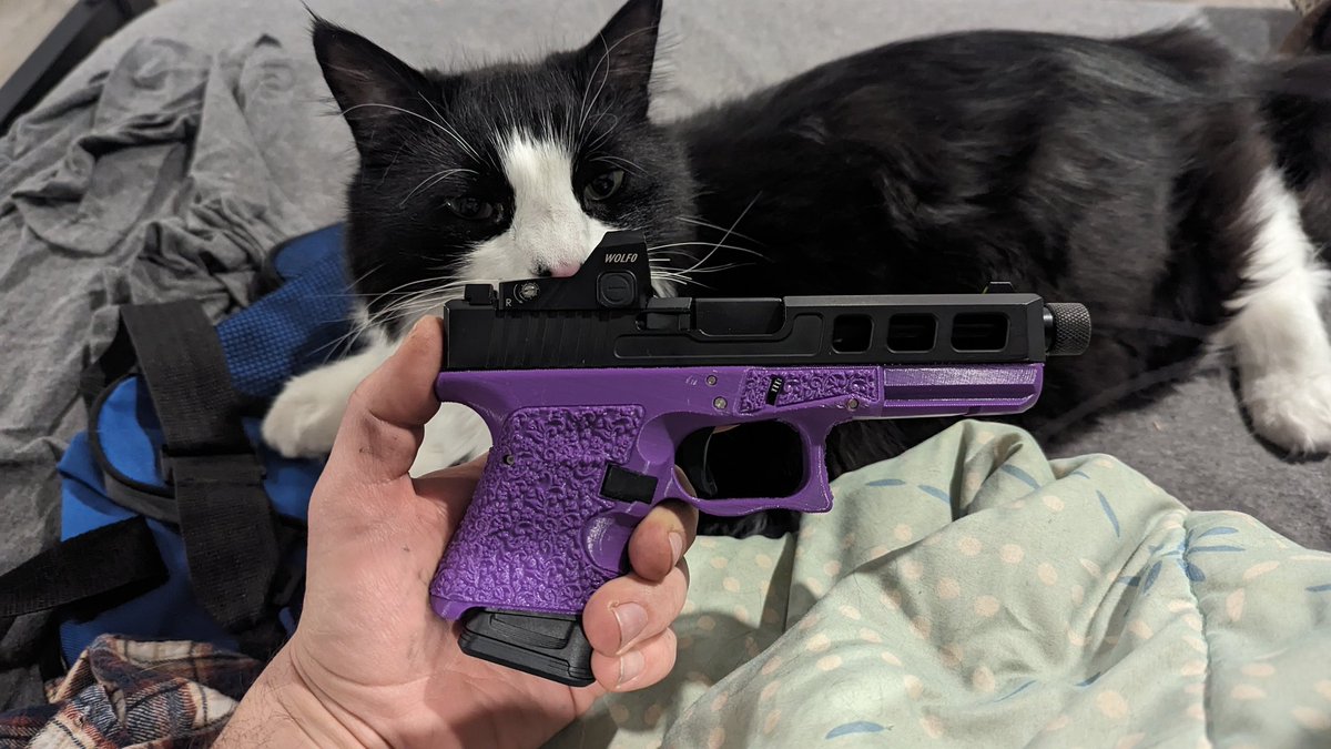 Decided to go to the mini g17, what y'all think? Hank approves! Shout out to @chairmanwon for the best P2A files on the net!