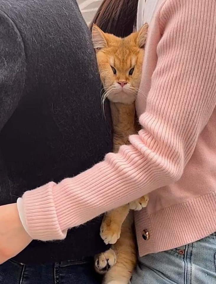 ช่วยด้วยยย ตลกชิ้บเป๋ง5555555555555