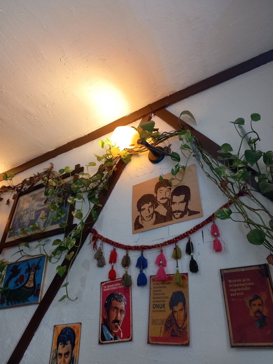 Çiçekler ölebilir ,yine de bahar olur...