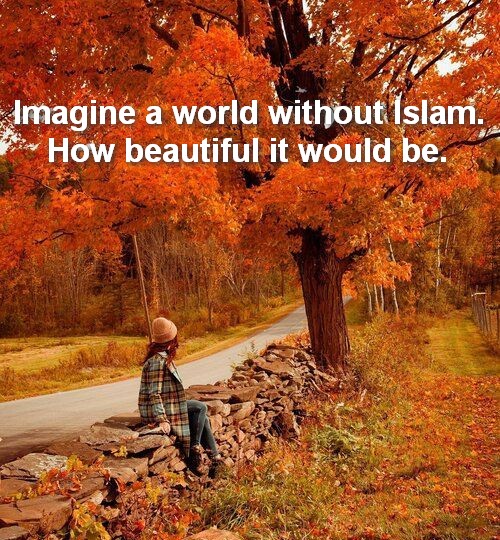 Imtiaz Mahmood (@imtiazmadmood) on Twitter photo 