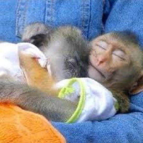 Guarromantico_'s tweet photo. Otros despertando / Yo despertando viendo las chanclas https://t.co/eQRdjTQmr2