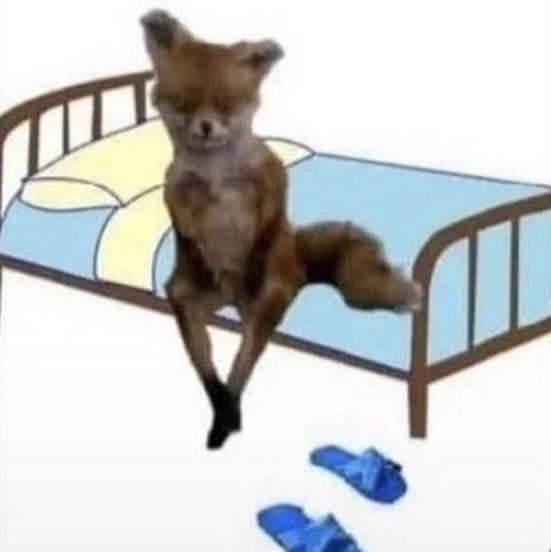 Otros despertando / Yo despertando viendo las chanclas