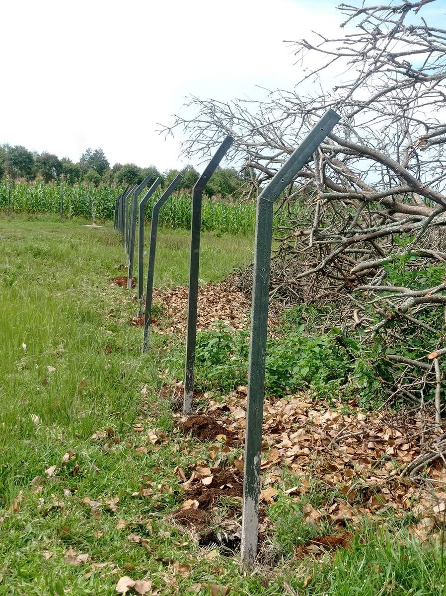 EcoBrixs's tweet photo. We are grateful to @RadioCentenary for using our eco-friendly #fenceposts at their brand-new radio mast.
Never forget that #communication is the key to bridging the gap between #misunderstanding and clarity.
**Good fences make good neighbors**
#EcoBrixs
#Ecoproducts #recycling https://t.co/nmeDth3D0j