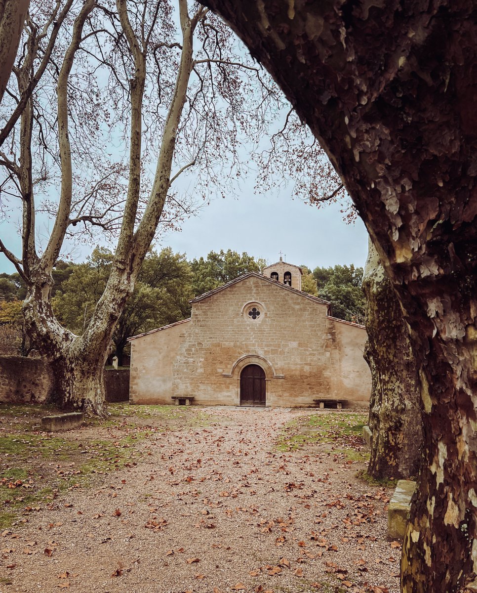 Destination Luberon tweet media