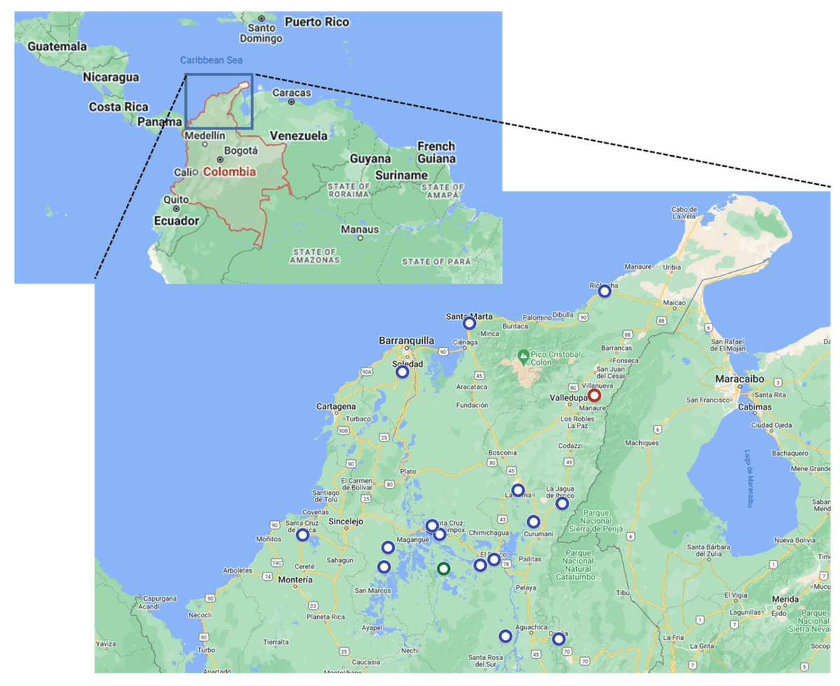 Molecular and  Pathological Characterization of Classical Swine Fever Virus Genotype 2  Strains Responsible for the 2013–2018 Outbreak in Colombia

👉mdpi.com/1999-4915/15/1…

by Robert et al.

Check it out!🧐
#Genetics #swineflu #viruses
