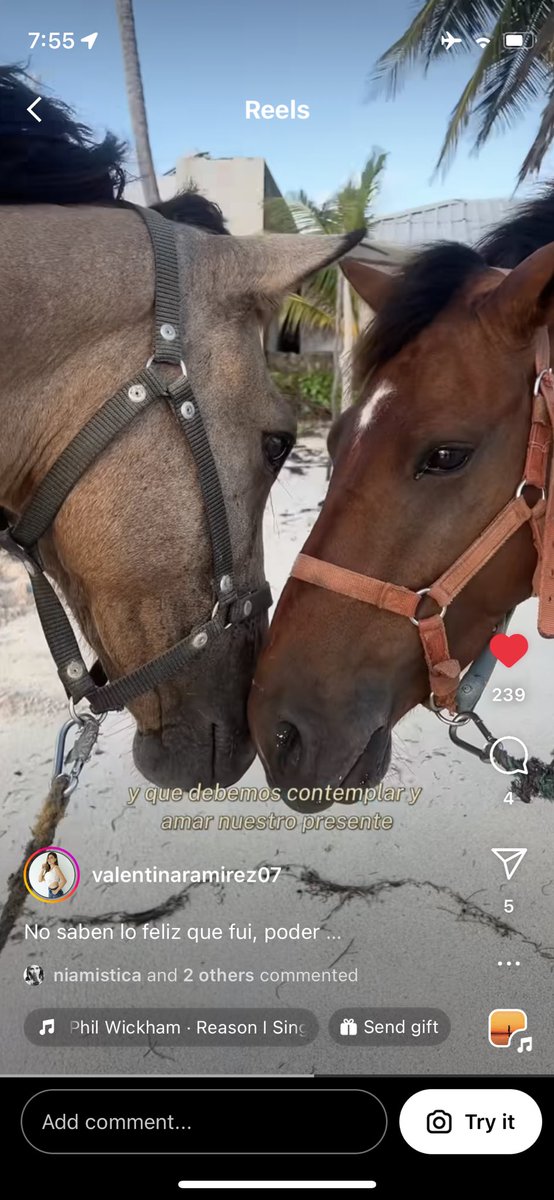 iamnickilee's tweet photo. Look what my partner, @niamistica on IG and I hosted this weekend in San Andres Island 😍😍😍 
Would you like info on the next retreat? 3D &amp; 2N in San Andres Island

Coming next: Providencia
🏝️❤️ 

#Caribbean #yoga #surfing #WomenEmpowerment #horse 
 https://t.co/6nb4jBr8HC https://t.co/v1mjJPBn5k