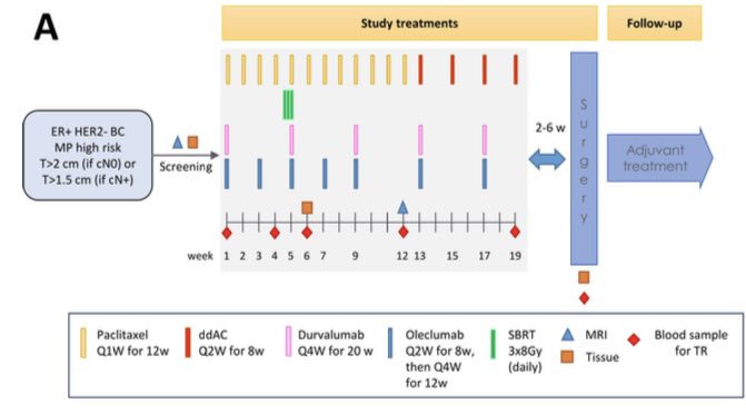 GuiNaderMarta's tweet photo. After the biomarker presentation of KN756 &amp; CM7FL at #SABCS23, no better moment to share the first results of #NeoCheckRay trial testing neoadj IO + RT in high-risk ER+ BC

Safety run-in data now availabe at @jitcancer 

Phase 2 recruiting now in 🇧🇪 &amp;🇫🇷

👉https://t.co/K3CYcCOec4 https://t.co/GfqnJ2uCwm