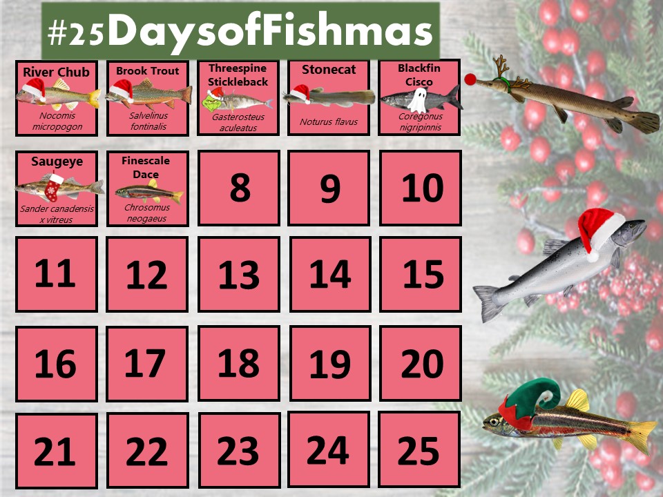 Katie O'Reilly tweet media