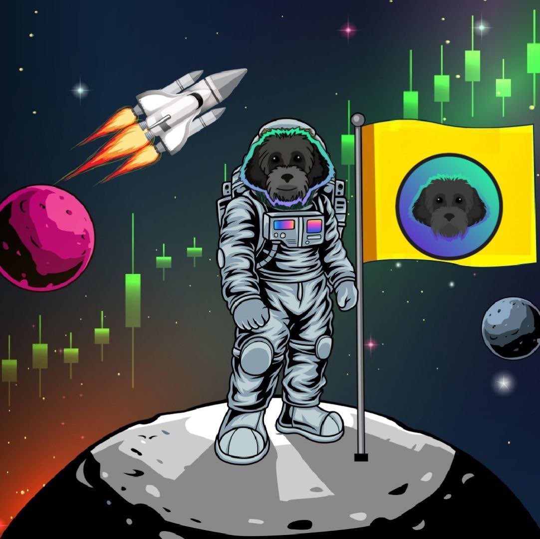 MyroSOL's tweet photo. $MYRO Big Week Ahead 🐕‍🦺
 
#Solana #SolanaSeason #OnlyPossibleOnSolana https://t.co/GPSXJXknif