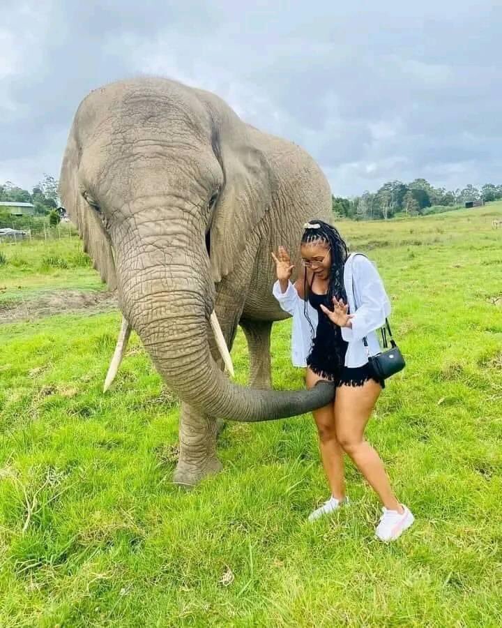 Life_After_18's tweet image. Wenzani manje uGatsheni