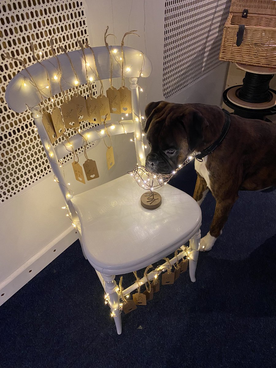 Rachlord's tweet image. I’ve declared to do an “Empty Chair at Christmas”, with Callum’s name taking pride of place. Guinness is giving each name tag a boxer nuzzle 🐾🐶❤️‍🩹✨ #emptychair #griefatChristmas