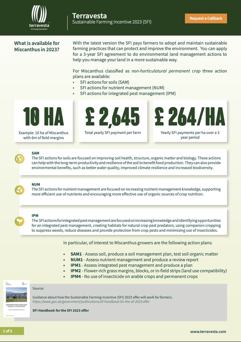 Terravesta's tweet photo. SFI payments can be claimed on #Miscanthus growing on land classified as a non-horticultural permanent crop. Read our #SFI Factsheet to see the numbers >>> https://t.co/jSA3tvyqHn https://t.co/IiSvy4fYzY