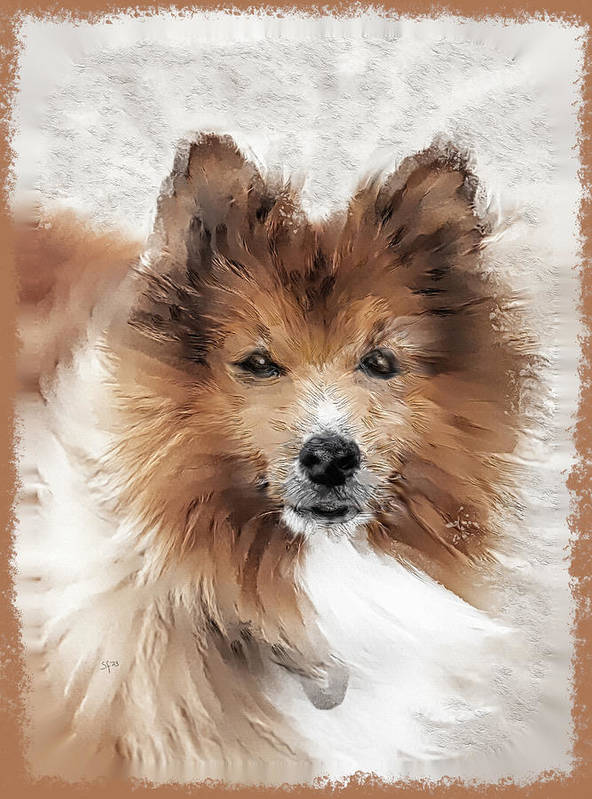 art4artsake7's tweet photo. Good #thursdaymorning !  This is what #thursdayvibes look like to me...  

#petportrait #pets #sheltie #shetland #sheepdog #miniature #collie #dog #dogart #art #cute #deckyourwalls #wallart #homedecor #giftideas #gifts #GiftThemArt 

Find him here>https://t.co/TtXRkTbQ5r https://t.co/fR9xJKCeuz