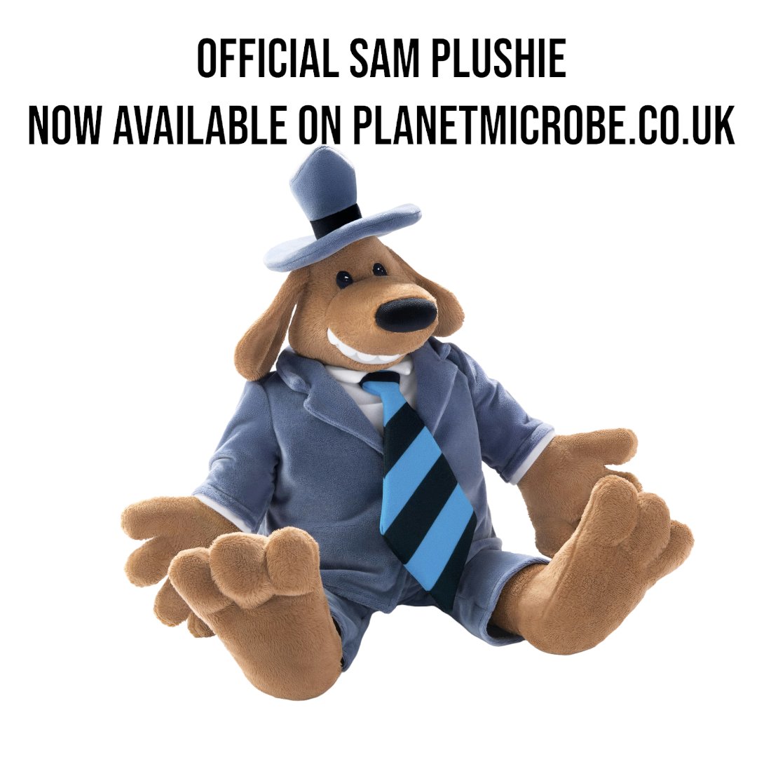 Jazzy_Robot's tweet photo. Official Licensed Sam Plushie from UNCUTE now available on https://t.co/IrP1Nm1Rrc
#samplushie #samandmax #samplushie #planetmicrobe https://t.co/MFfc9Bv36N