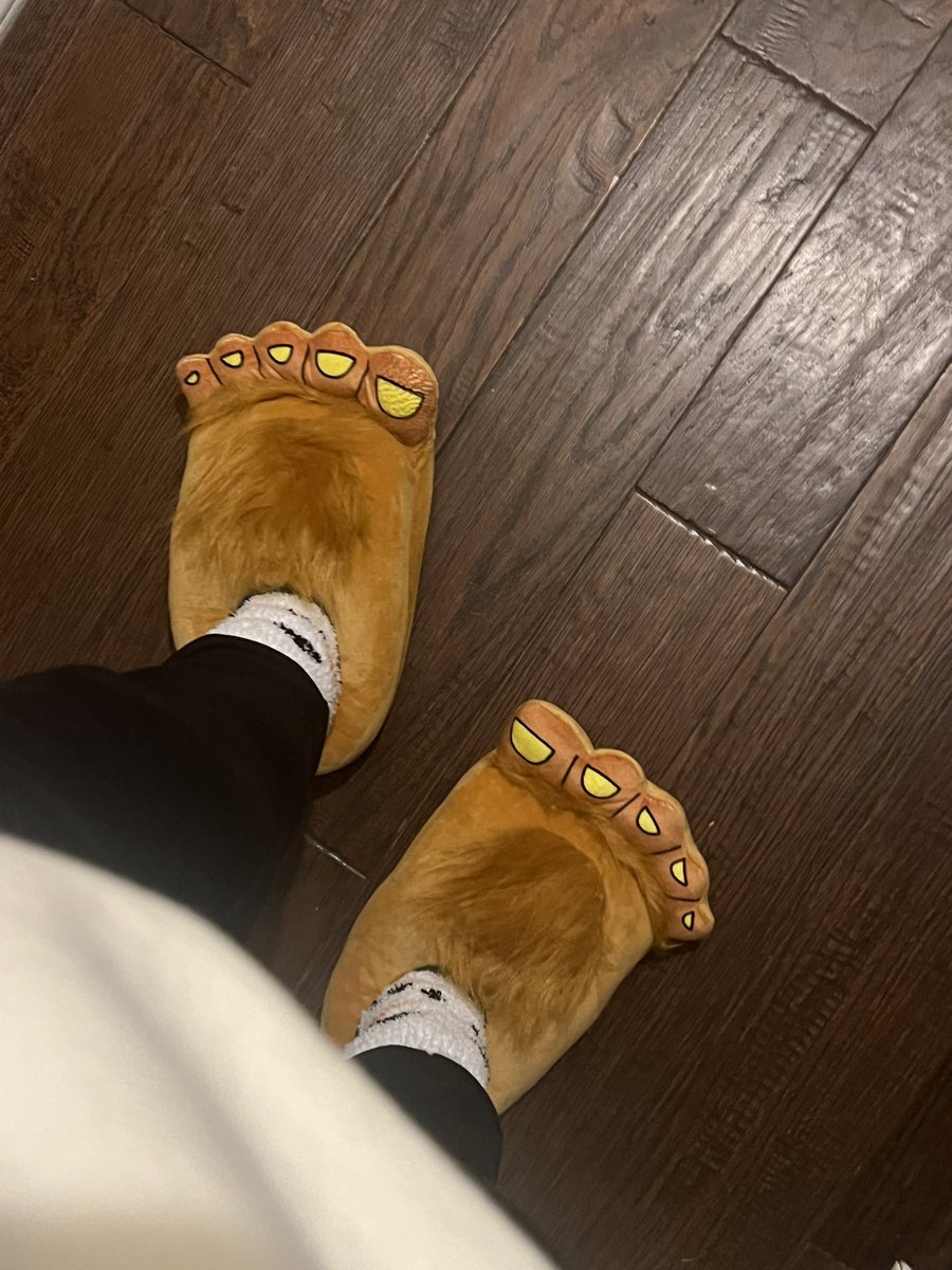melissa_jharvey's tweet photo. #12daysofholidays Comfy shoes and clothes day. Pray for my driving, haha! #slippers #uggsonthewishlist https://t.co/slcf4PK8Cy