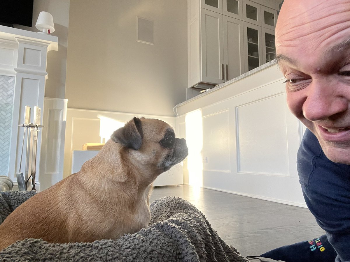 BONK!!! BONK FOR Paws!!!