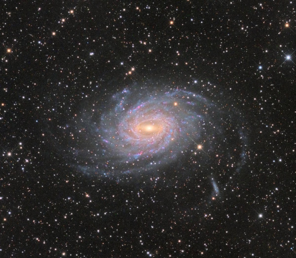 Esta galaxia espiral es NGC 6744. Mide casi 175 000 años-luz (más que la Vía Láctea). Está a 30 millones de años-luz, en la dirección de la constelación de Pavo. En sus brazos espirales hay multitud de regiones de formación de estrellas. Crédito: L. Zhuokai, Y. Jiang #FelizJueves