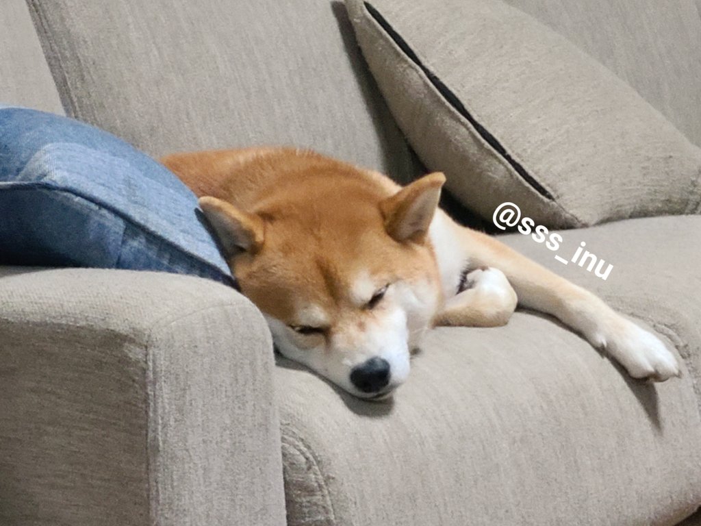 おやすみ～～😪💤💤