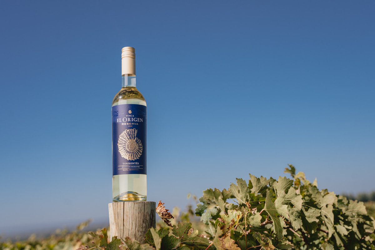Descubrí la frescura que solo nuestro Reserva Torrontés puede ofrecerte. Con sus notas florales y frutales, es la elección ideal para esta temporada. Refrescate y disfrutá de la estación con un vino que captura la esencia del verano. ☀️🌸

#FincaElOrigen #Torrontés #Mendoza