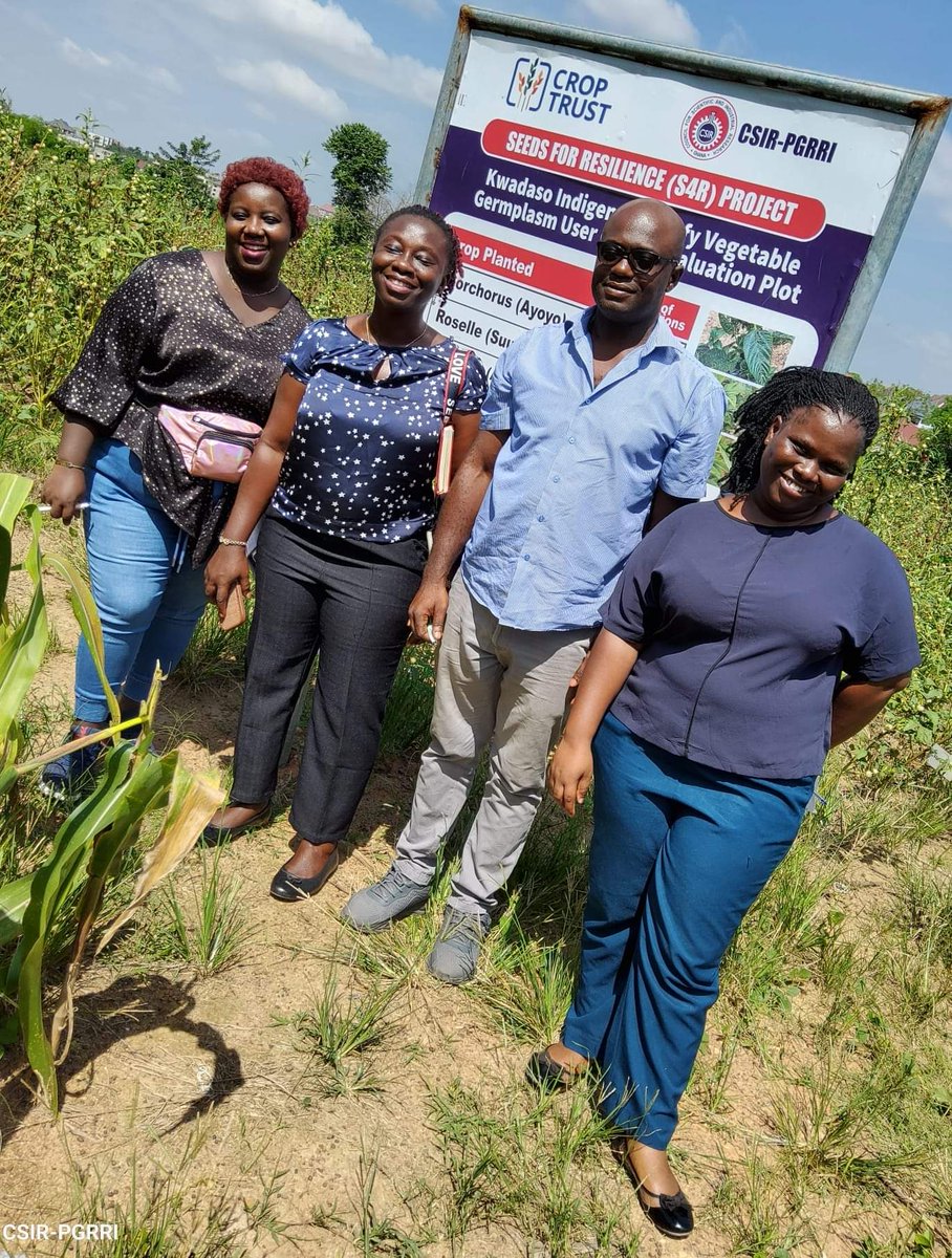 CSIR- Plant Genetic Resources Research Institute tweet media