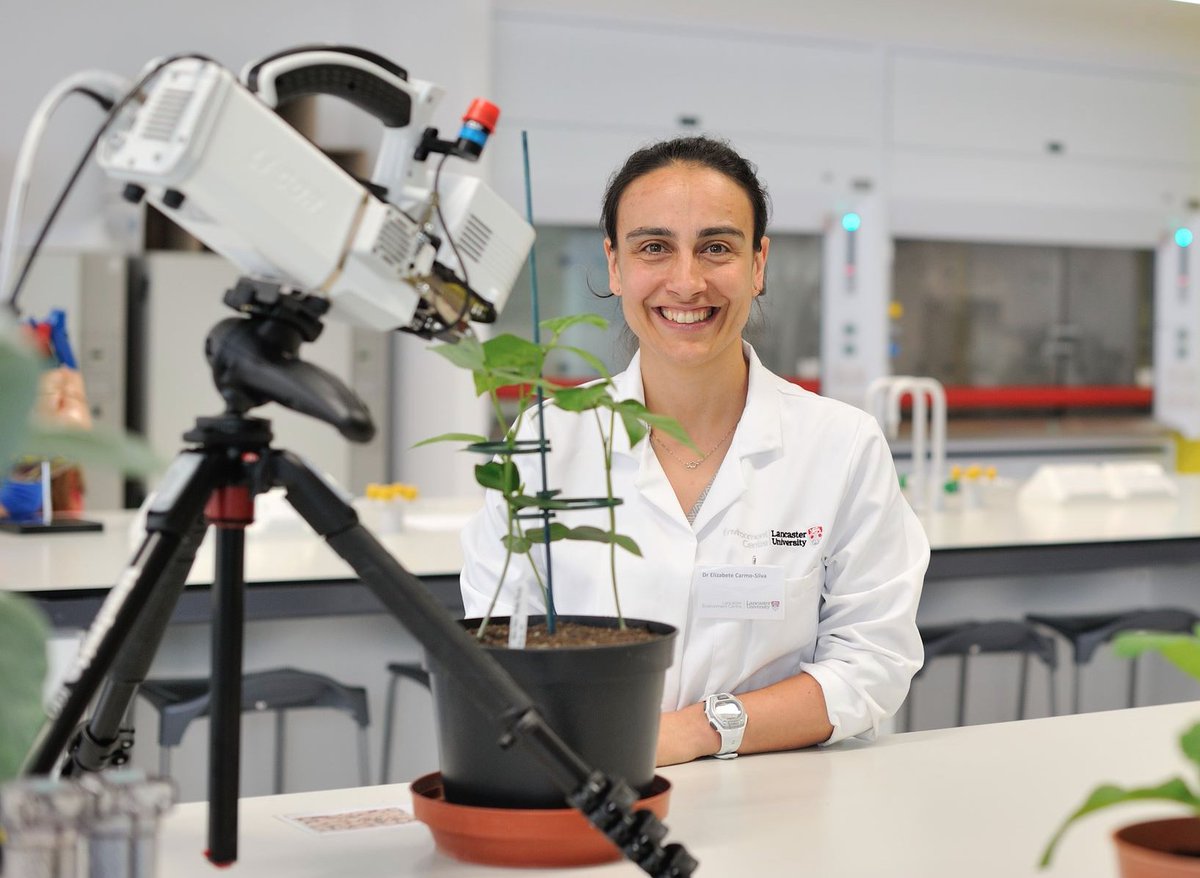 The RIPE Project (@ripeproject) on Twitter photo RIPE researcher <a href="/ecarmosilva/">ElizabeteCarmo-Silva</a> & others have spent decades working on ways to better regulate rubisco & improve its efficiency. The highlights of that work were published in a recent review in <a href="/NewPhyt/">New Phytologist</a>.
DOI: doi.org/10.1111/nph.19…
Feature story: bit.ly/4813l8v RIPE researcher <a href="/ecarmosilva/">ElizabeteCarmo-Silva</a> & others have spent decades working on ways to better regulate rubisco & improve its efficiency. The highlights of that work were published in a recent review in <a href="/NewPhyt/">New Phytologist</a>.
DOI: doi.org/10.1111/nph.19…
Feature story: bit.ly/4813l8v