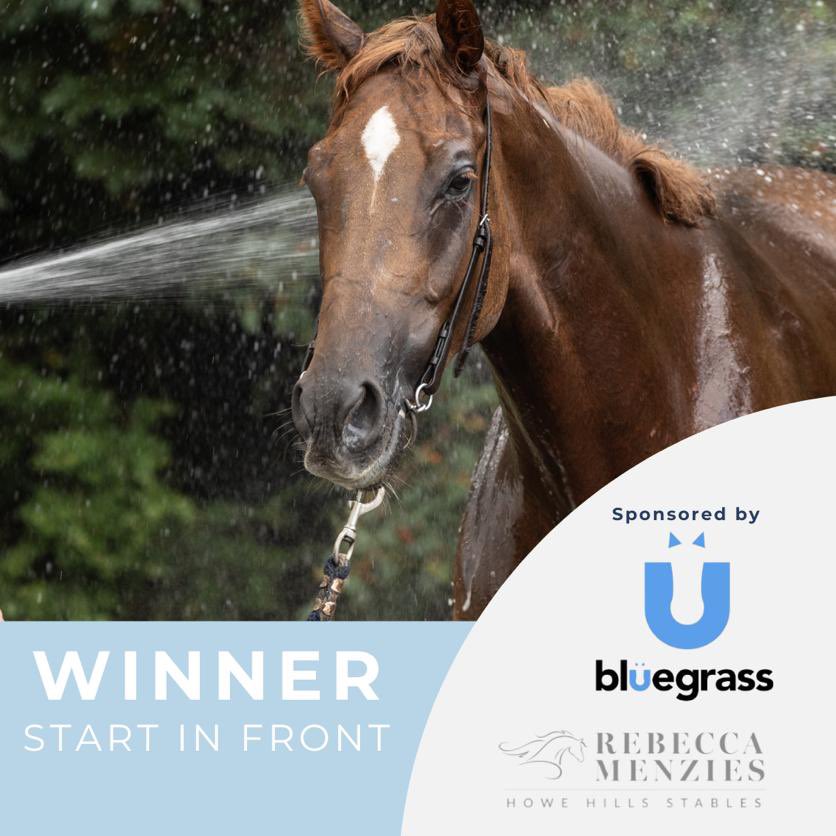 🏆WINNER🏆 Start In Front wins today @MarketRasenRace after a great ride by William Maggs Congratulations to owner Robin Oliver. Another winner fed on @bluegrasshorsefeeds #poweredbybluegrass #winner #racehorse #marketrasenraces