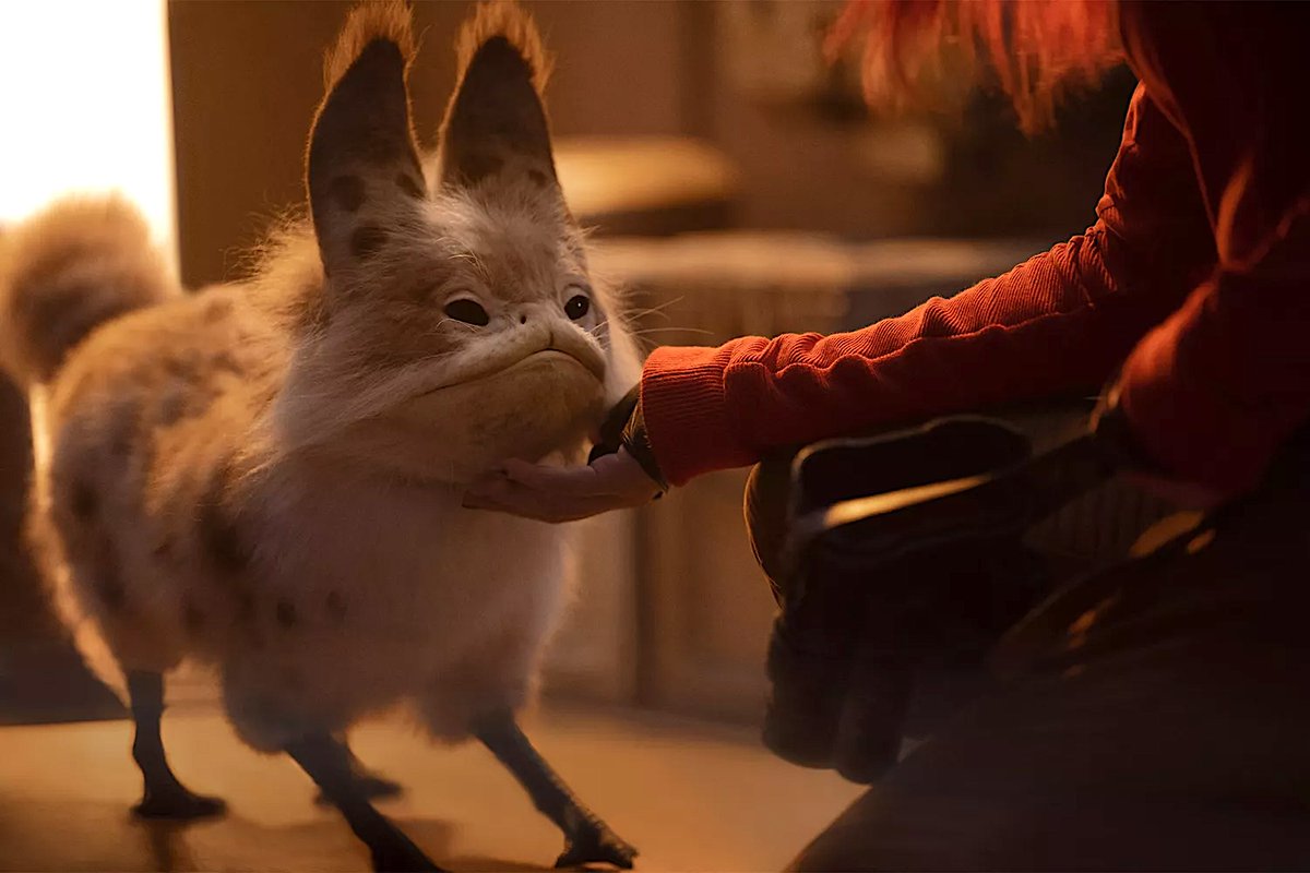 GunRoswall's tweet photo. What about Murley? by GunRoswell https://t.co/guH5P2jDUz via @ao3org 

#fanfiction #poetry #shortstories  #starwars #starwarsfanfiction #ahsoka #murleythetooka #lothcats #tookas #fun #fluff https://t.co/4JHc9Ugl2V