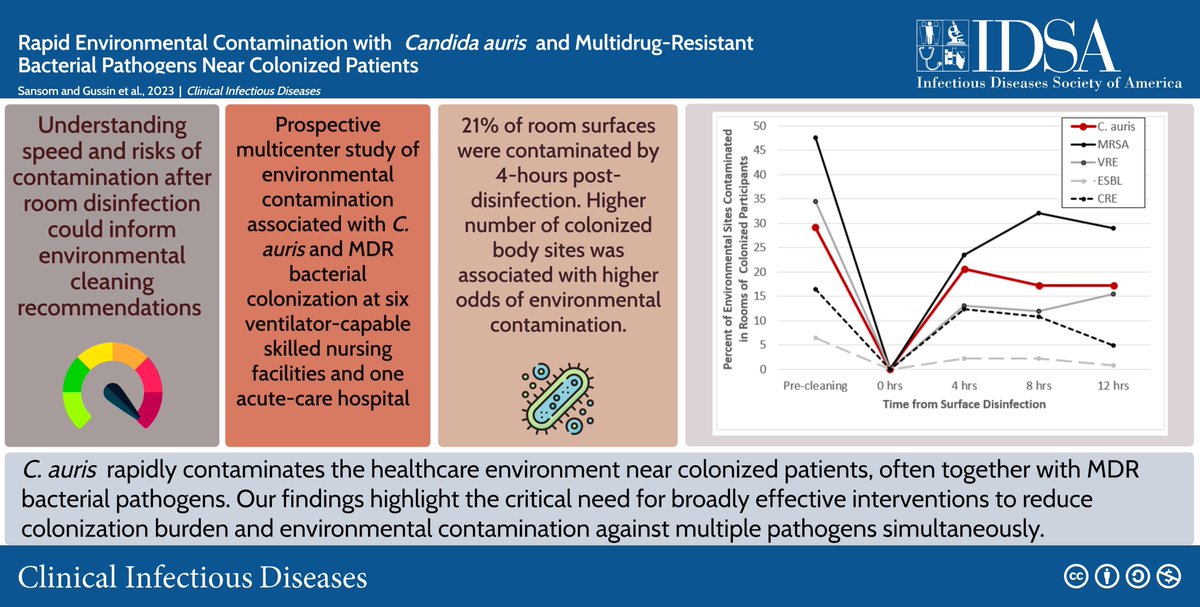 Rapid Environmental Contamination with Candida auris and Multidrug-Resistant Bacterial Pathogens Near Colonized Patients 32% of room surfaces near colonized pts were contaminated by C auris ⬇️ Disinfection ⬇️ 21% contaminated within 4h academic.oup.com/cid/article/do…