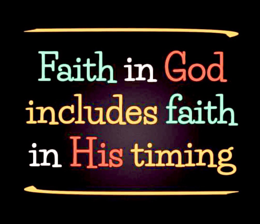 Trust God Brah (@trustgodbrah) on Twitter photo 