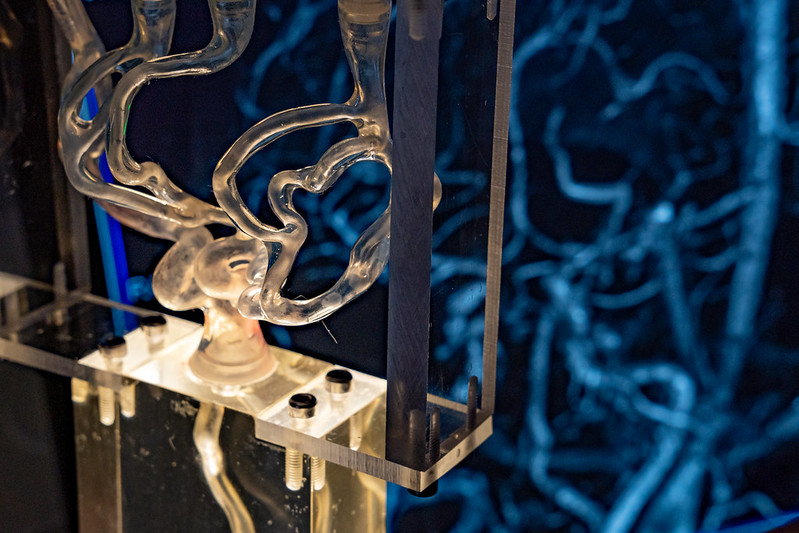 snsf_ch's tweet photo. 📸 It’s time to submit your most bewitching, bright, bold, brilliant images to the SNSF Scientific Image Competition. #beautifulblue 💙 🔵 🔷
Submission deadline: 31 January 2024
➡️ https://t.co/Kx3tR1cgKA
#SwissScienceImage https://t.co/GBQdJLDMn3