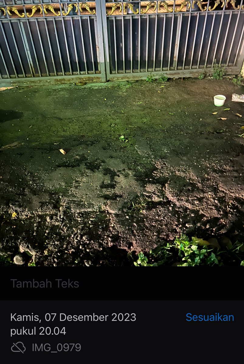 AMLers_'s tweet photo. Sepertinya sudah ada yang Rescue
Dilokasi tinggal bekas tempat makan nya.

@neohistoria_id https://t.co/15wcJFggDX