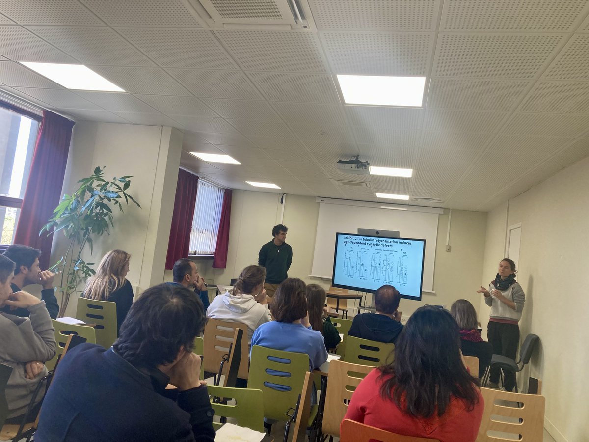 Today, we had our first Journal Club Alzheimer of the INP and it was a big success! Thanks again to Theresa and Christopher for their great talk. @inp_marseille @terrymosoly