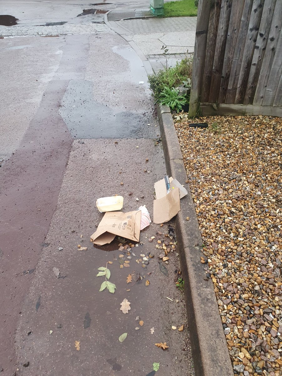 Hi @WestBerkshire Please see attached picture, following removal of recycling today. We don't leave rubbish/recycling in the street for the collectors to pick up, so why should they feel it's OK to leave it after they have been?! Please ask them to take a little more care...