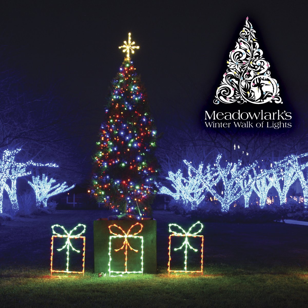 Winter Walk tweet media