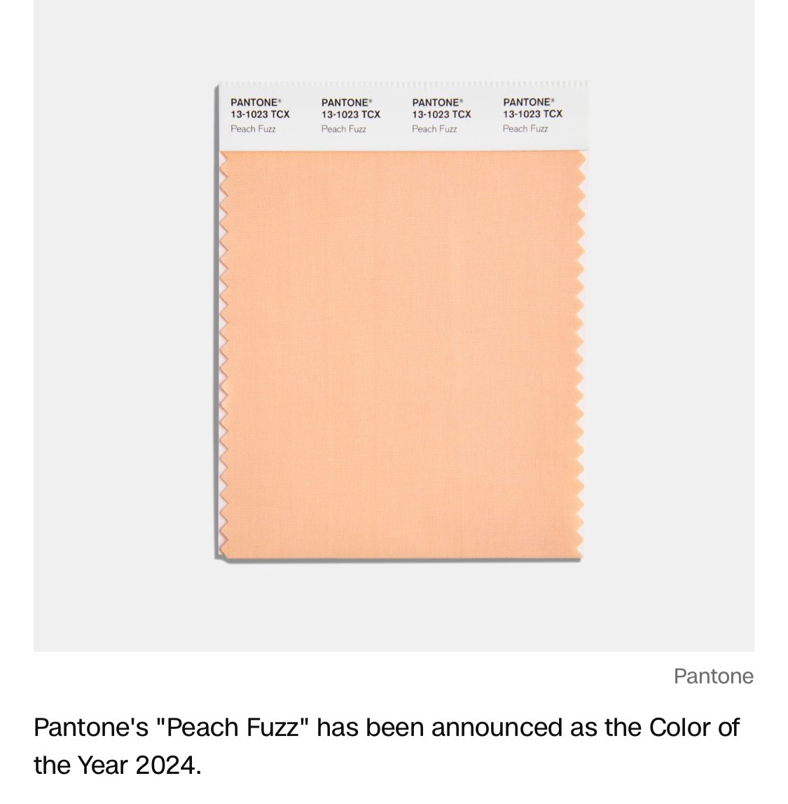 🙄 

#peachfuzz 
#coloroftheyear
#pantone