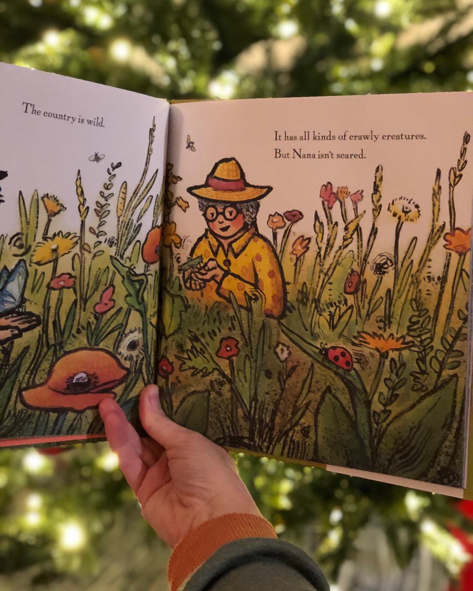 Lauren Castillo 🦔🏳️🌈📚 tweet media