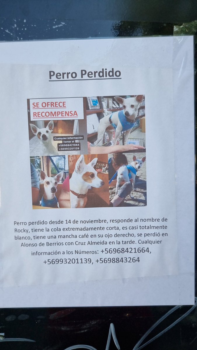 DegaPardo's tweet image. 