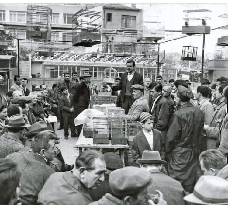 1970'ler Aksaray kanarya kuşlarının satış yapıldığı meydan...