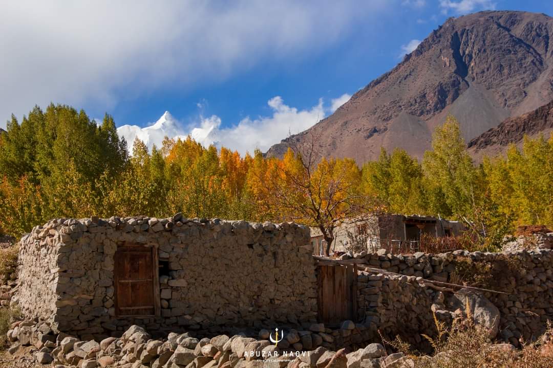 آج بھی گاؤں میں کچھ کچے مکانوں والے
گھر میں ہمسائے کے فاقہ نہیں ہونے دیتے
معراج فیض آبادی

Glimpse of Shispare Peak (7611 m)
from Hussaini Village
Gojaal, Hunza 🍂🍁🍂