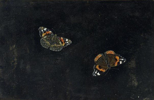 mycelticmoon's tweet photo. Butterflies in art. https://t.co/XfhnIBxQMy