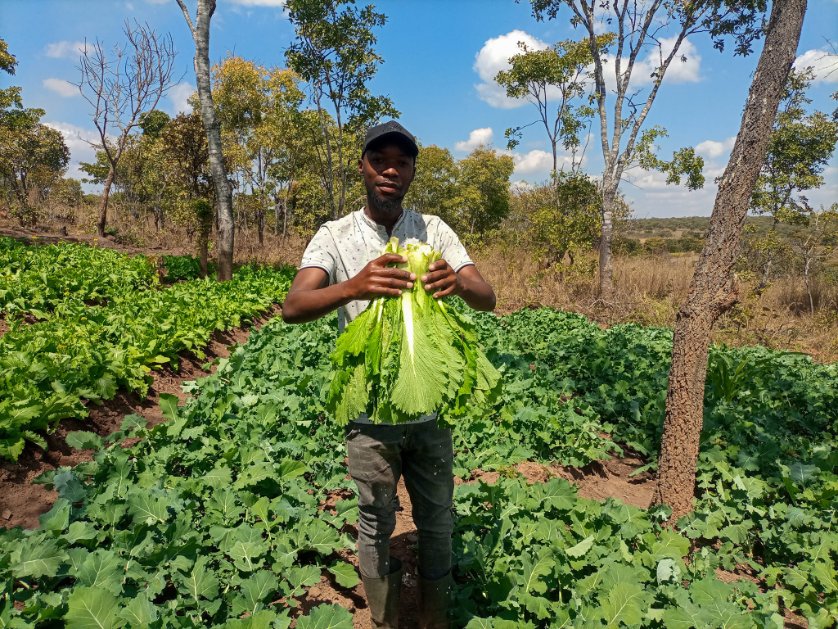Agribusiness Media tweet media